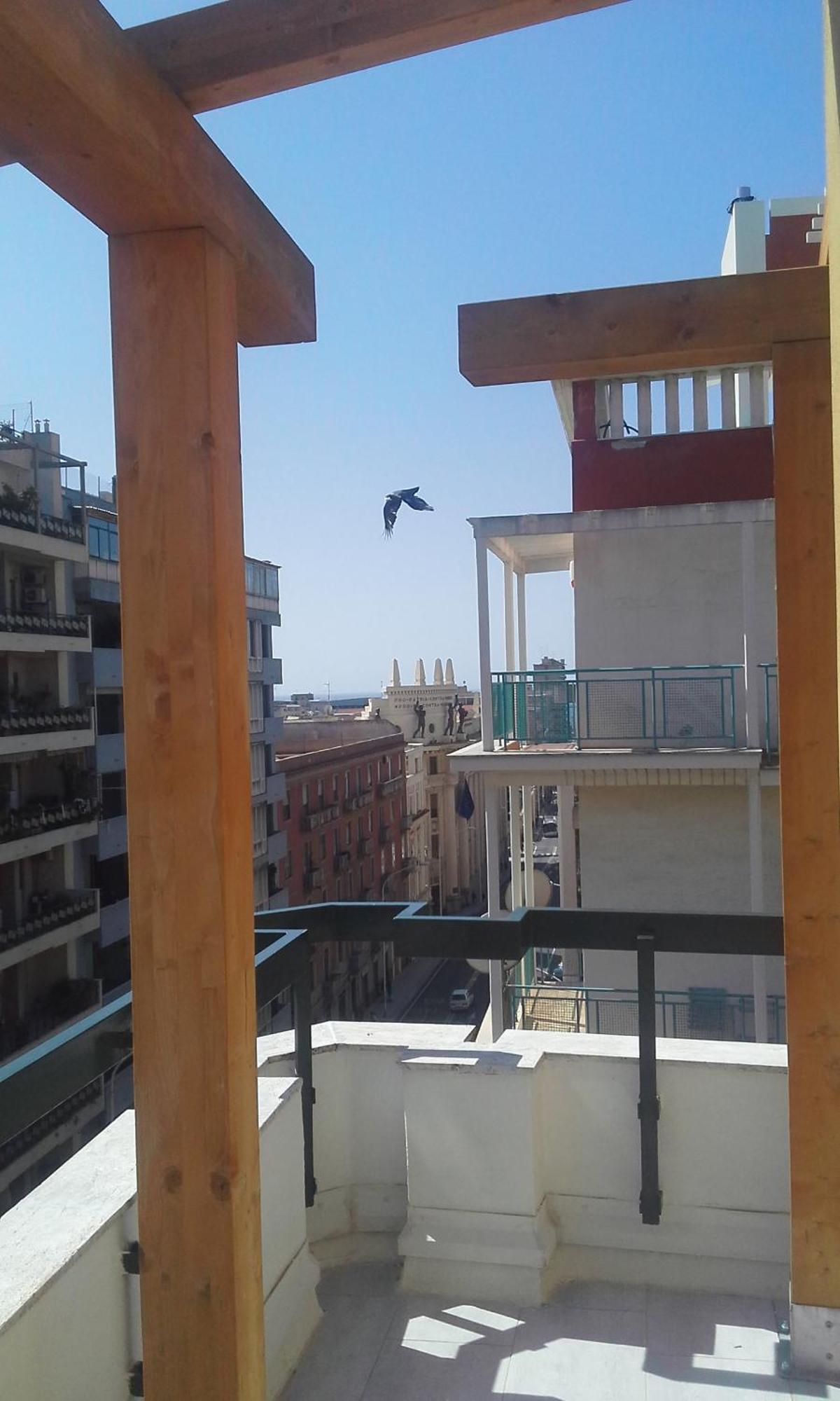 Monolocale Sonnino Villa Cagliari Eksteriør billede